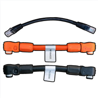 Battery Leads & Accessories