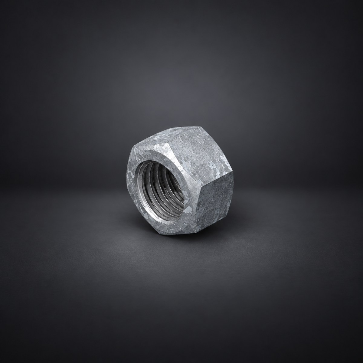 Solarport Hex Nut HDG on a dark studio background